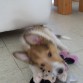 Megan y su mimi a los 2 meses.